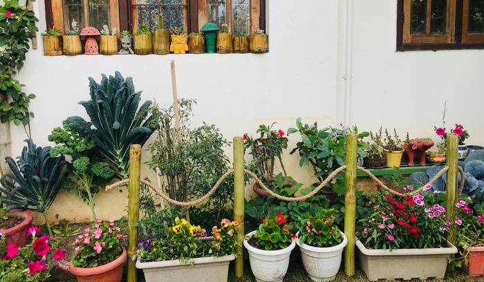 Image 12